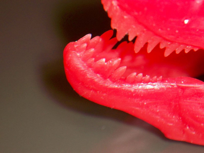 himera-3d-printer-s-vyisokim-kachestvom-pechati-chast-233