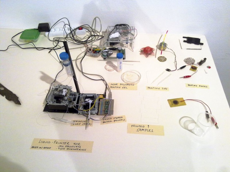 kak-sdelat-bioprinter16