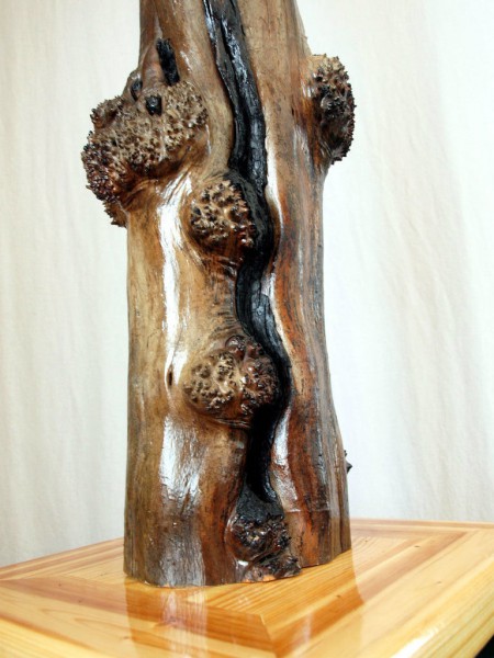 kak-sdelat-skulpturu-tvorenie-ognya62