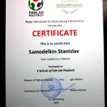 Диплом-сертификат (3)