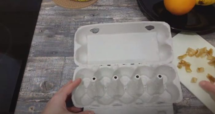 Коробка из-под яиц