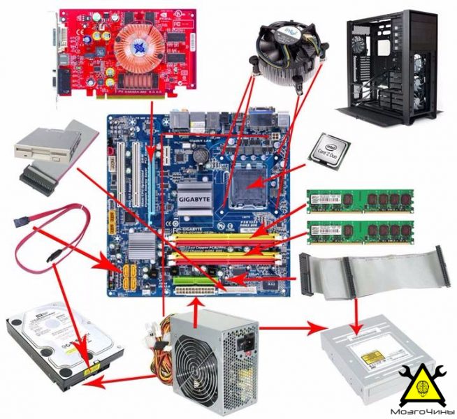 Комплектующие компьютера как органы человека