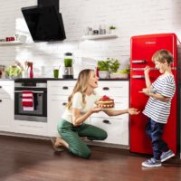 Особенности и преимущества холодильников Hansa