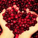 Замороженная клюква: секреты, которые восхищают Замороженная клюква: секреты, которые восхищают